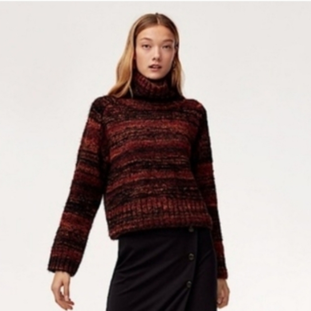 Aritzia Titus Sweater